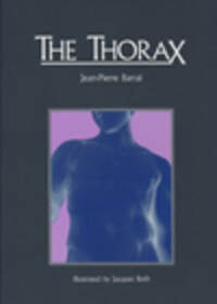 The Thorax
